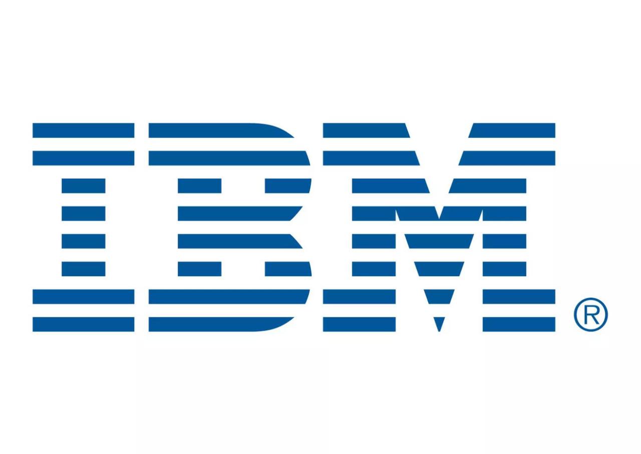 IBM Envizi